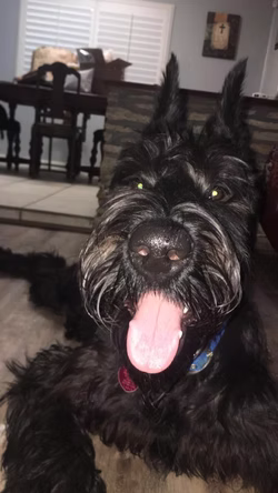 13873107_1057643924304607_1997939817534642081_n